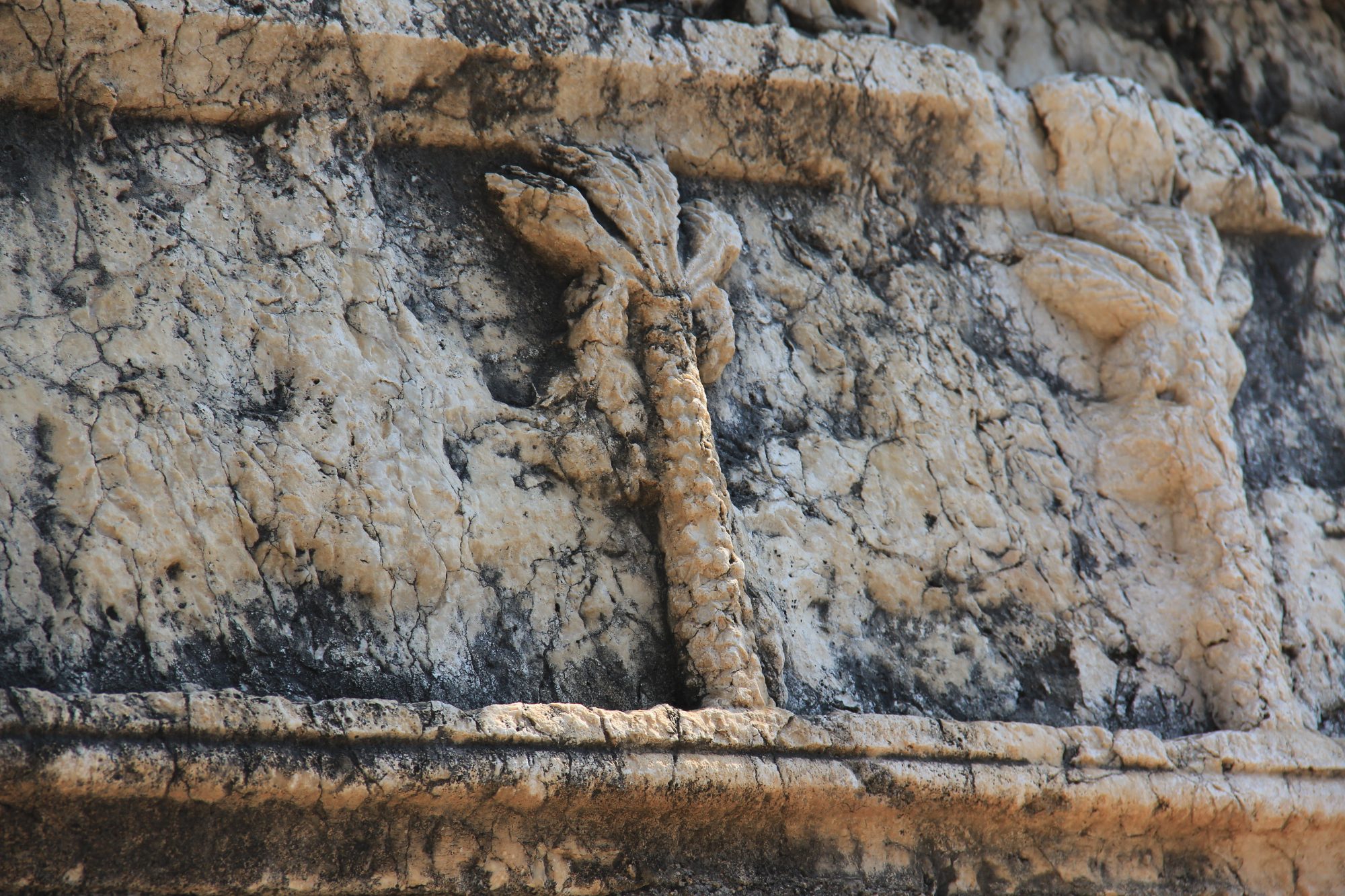 Capharnaum 37